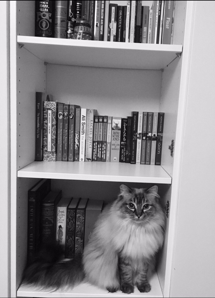 Kort tillæg til artiklen “Too much information (forrige udgivelse her på&nbsp;bloggen)