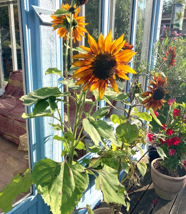 Digte fra en anden&nbsp;verden