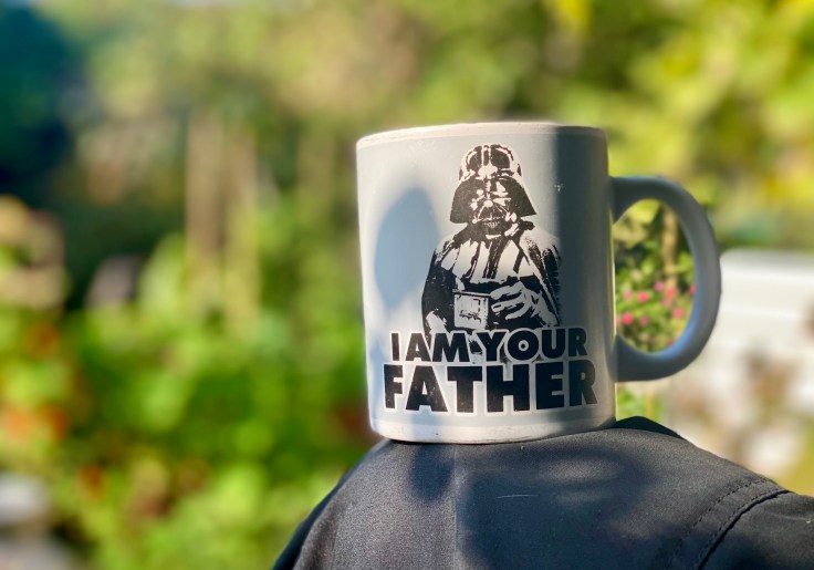 En diagnose i hånden er bedre end ti usynlige spark i&nbsp;knæhaserne