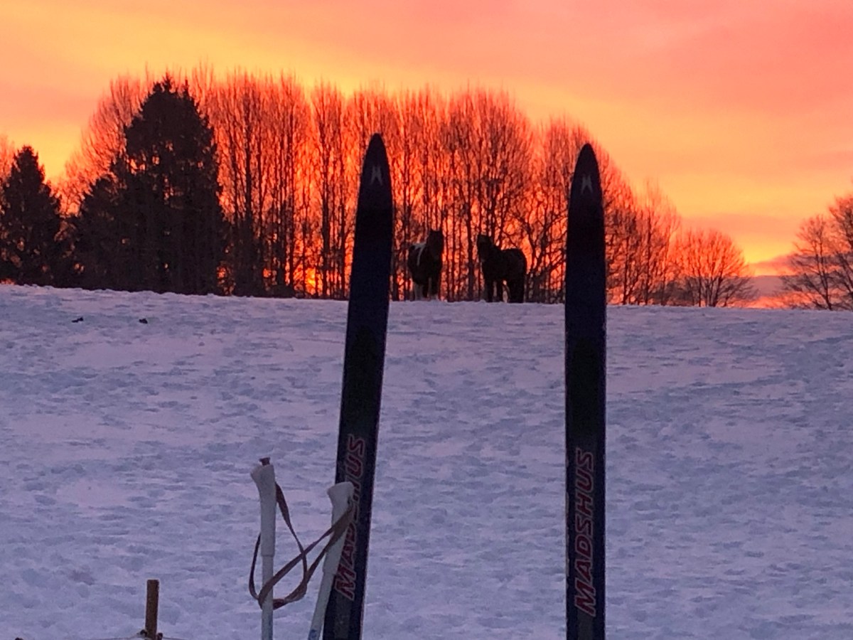 Knirkende håb og brædder under&nbsp;fødderne.