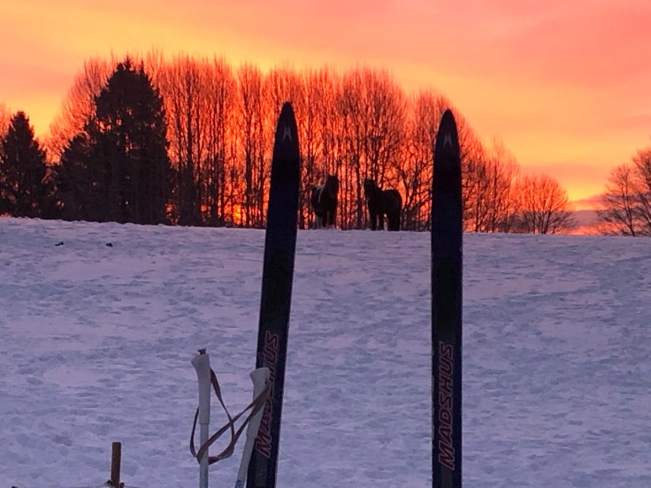 Knirkende håb og brædder under&nbsp;fødderne.