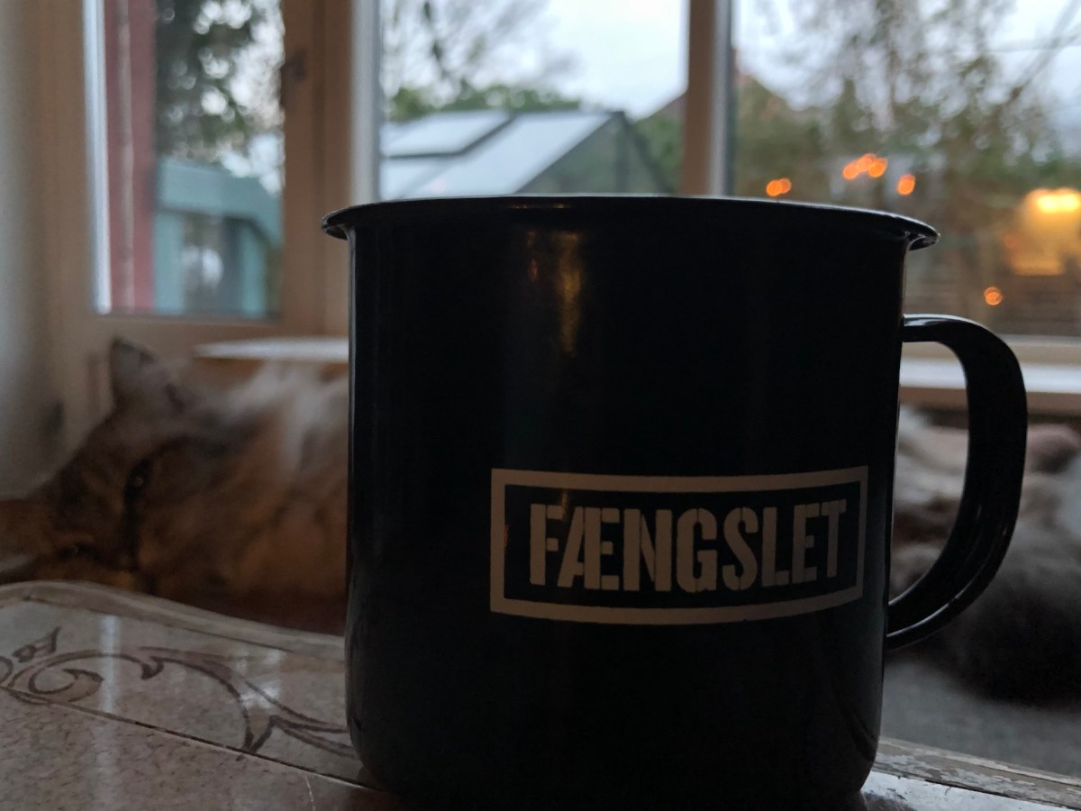 “Jeg tror, det er fristende, hvis det eneste værktøj, du har, er en hammer, at betragte alt, som om det var et&nbsp;søm”